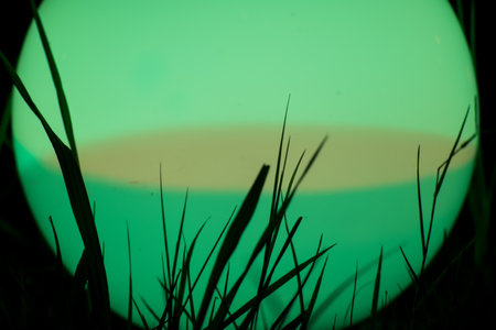 colorful ball of light by the path in the gardenの写真素材