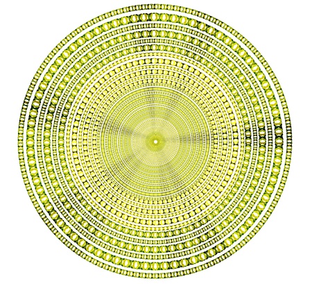 green circle on white background.の写真素材