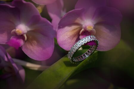 The diamond engagement ring and the background of the nature. the ring on the asia orchid head.
