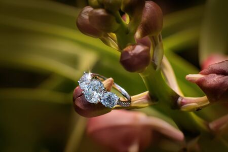 The diamond engagement ring and the background of the nature. the ring on the asia orchid head.の写真素材