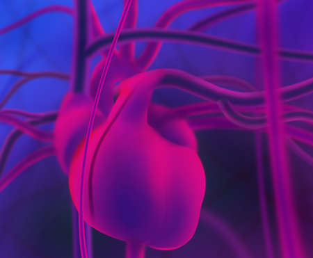 abstract multicolor human heart with blood vessels 3d illustration.