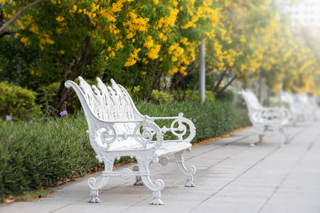 white iron bench in the park with yellow flower trees.の写真素材
