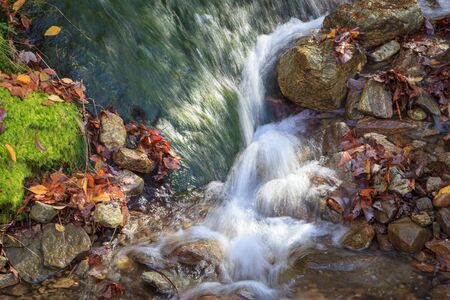 Autumn stream flowing through rocks with nature elementsの写真素材