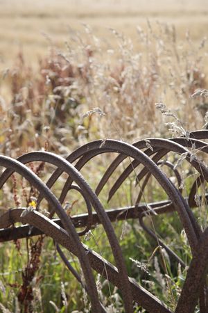 Old Farming Equipment with Wheat Field in Backgroundの写真素材