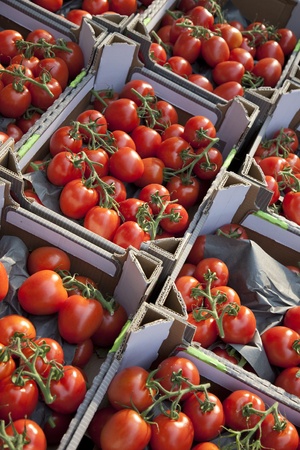 Boxes of Tomatoes on Market Stallの写真素材