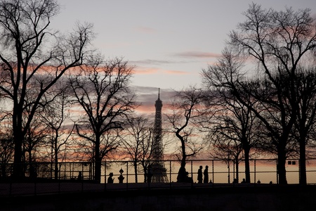 Eiffel Tower and Winter Trees, Paris in Franceの写真素材