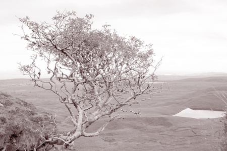 View from Quiraing; Trotternish; Isle of Skye; Scotland; UK in Black and White Sepia Toneの写真素材