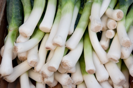 Leeks on a Market Stallの写真素材
