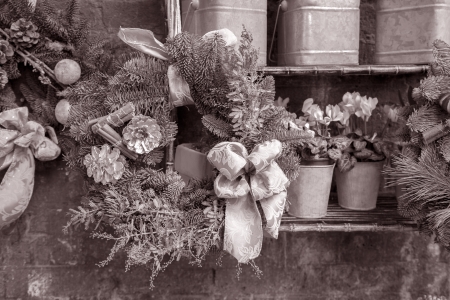 Christmas Reef in Black and White Sepia Toneの写真素材