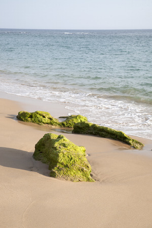 Rock on Beach at Canos de Meca, Cadiz, Andalusia, Spainの写真素材