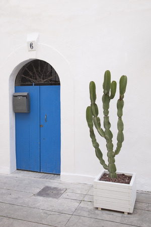 Green Cactus outside Blue Doorの写真素材