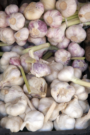 Garlic Background on Market Stallの写真素材