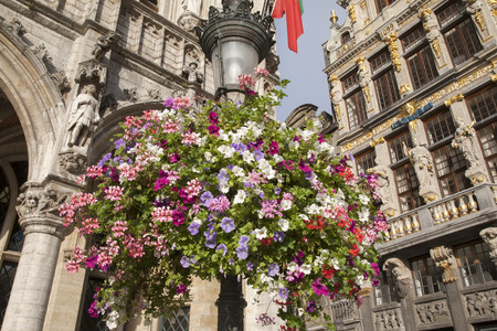 Facade of City Hall, Gran Place - Main Square with Lamppost and Flowers, Brussels, Belgiumの写真素材