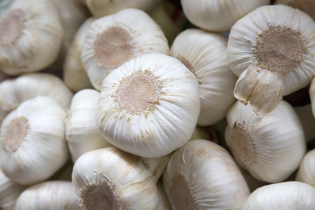 Garlic for Sale on Market Stall, Bologna, Italyの写真素材