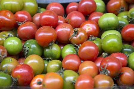 Tomatoes for Sale on Market Stall, Bologna, Italyの写真素材