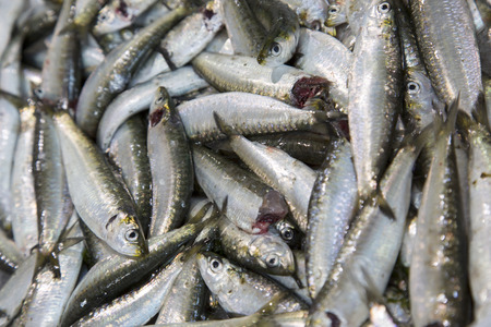 Small Fish on Market Stall, Santiago de Compostela, Galicia, Spain