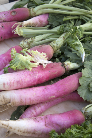 Red Radish Background on Market Stallの写真素材