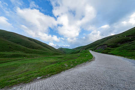 mountain covered with green grass