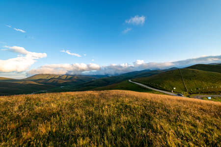 mountain covered with green grassの写真素材