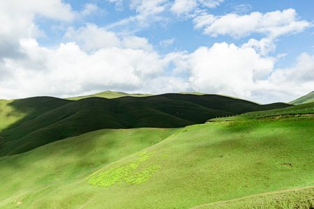 Light and shadow on the grass mountainの写真素材