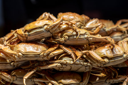 Close up of a pile of steamed crabs on display at a seafood marketの写真素材