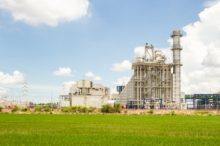 Power factory,power plant with green rice 