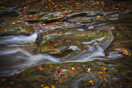Fall Stream and Leaves in Upstate New York Gorge
