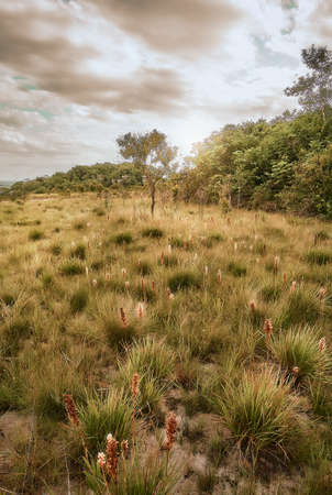 Landscape of South America colombiaの写真素材