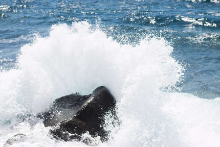 waves spalshed into a rock and let the water fly into the airの写真素材