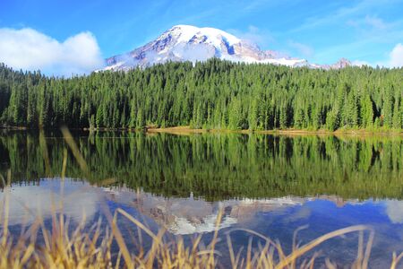 Reflection at Mount Rainier near Seattleの写真素材