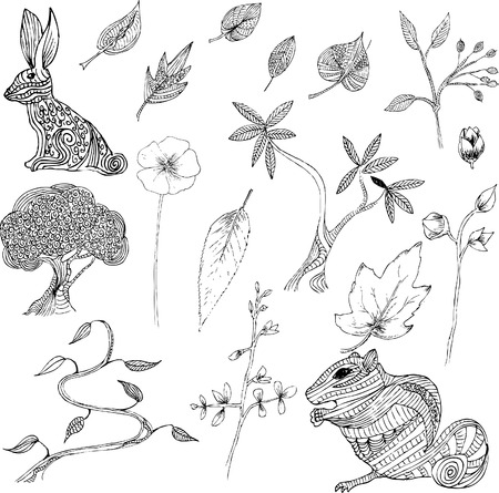 Hand Drawn Natural Elementsのイラスト素材