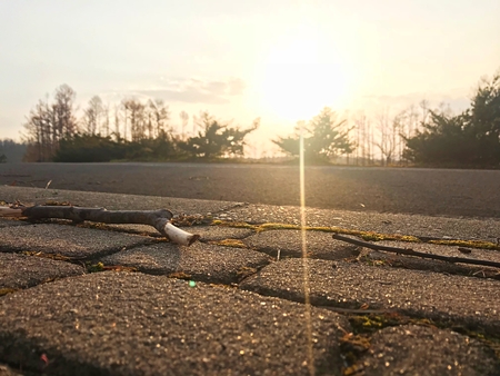 A wooden stick lie before the sunset over the sky