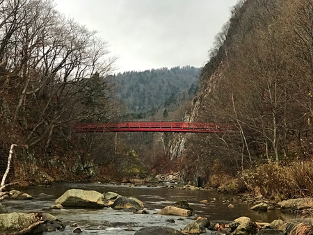 A red bridge over the autumn tree, cloudy sky with streamの写真素材
