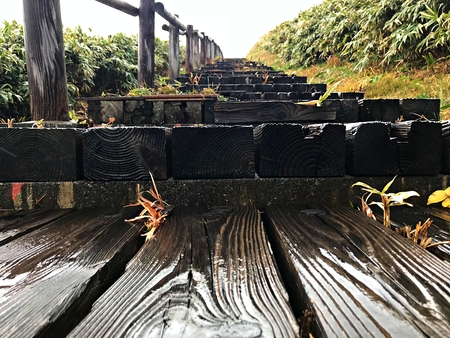 A wood pattern of stair case in green fieldの写真素材