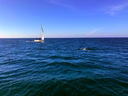 Sail boat sail on the sea with blue sky, sea and horizon, Koh Chang, Thailandの写真素材