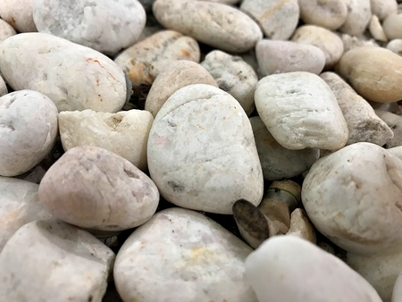 Closed up shot on the white pebbles in the tree pot