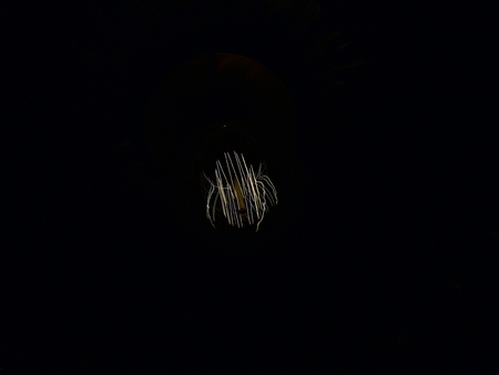 The shot on light bulb filament with dark backgroundの写真素材
