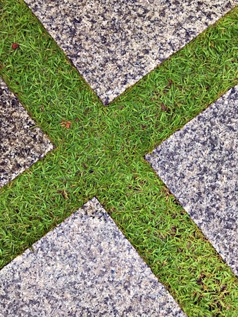 The green lawn between the ceramic  plate that use as a foot pathの写真素材