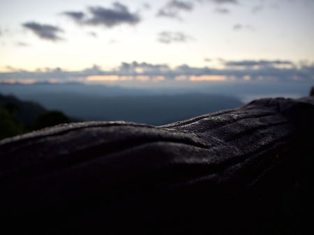 Close up shot on the morning dew with rising sun and the fog background and cloudの写真素材