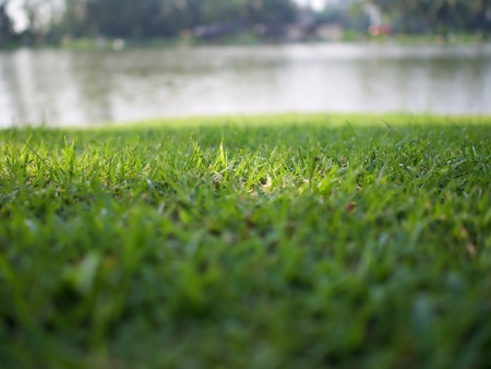 The focus shot on the sun light on the green lawn with blur lake backgroundの写真素材