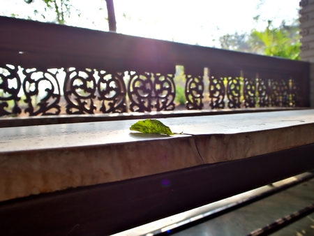 Green leaf that fall to the wooden bench with natural background in the spring morning of Thaialndの写真素材