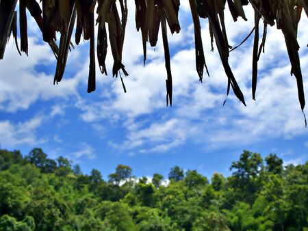 Edge of northen Thai sytle hut roof with blue sky, cloud and green tree in Chiang Mai, Thailandの写真素材