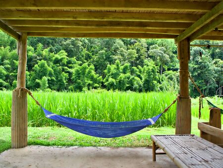 The hanging cradle under the bamboo with green rice field background in rural area of Chiang Mai, Thailandの写真素材