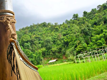 The edge of cradle with gree rice field and the cloudy sky with forest in Chiang Mai, Thailandの写真素材