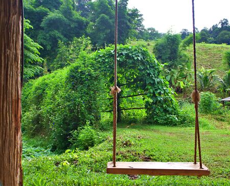The landscape of wood swing and the green grass field landscape in Chiang Mai, Thailandの写真素材