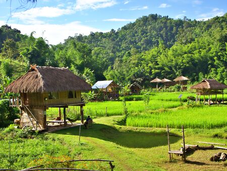 The landscape shot of the rural cottage in the green moutain valley with rice field in Chiang Mai, Thailandの写真素材