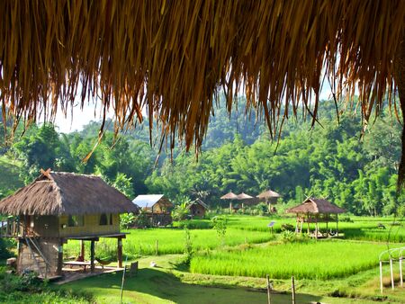 The edge of the hut roof shade and the rice fileld landscape with cottage in Chiangmai, Thailandの写真素材