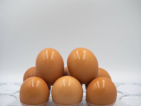 Eggs are place as stack on each other on the plastic rack with white background and water dropsの写真素材