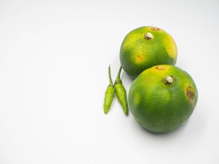 The concept shot on the Thai green lime and green chilli that use for Tom yum and varieties of yumの写真素材