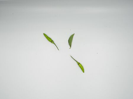 Top shot on the green chilli and green basil which use in many main dishes in Thai foodの写真素材